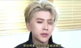 爆料蔡徐坤狗仔视频,揭秘明星私生活背后的真相